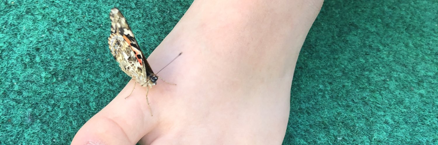 Sasha McHenry banner