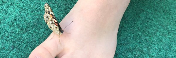 SMchenning Profile Banner