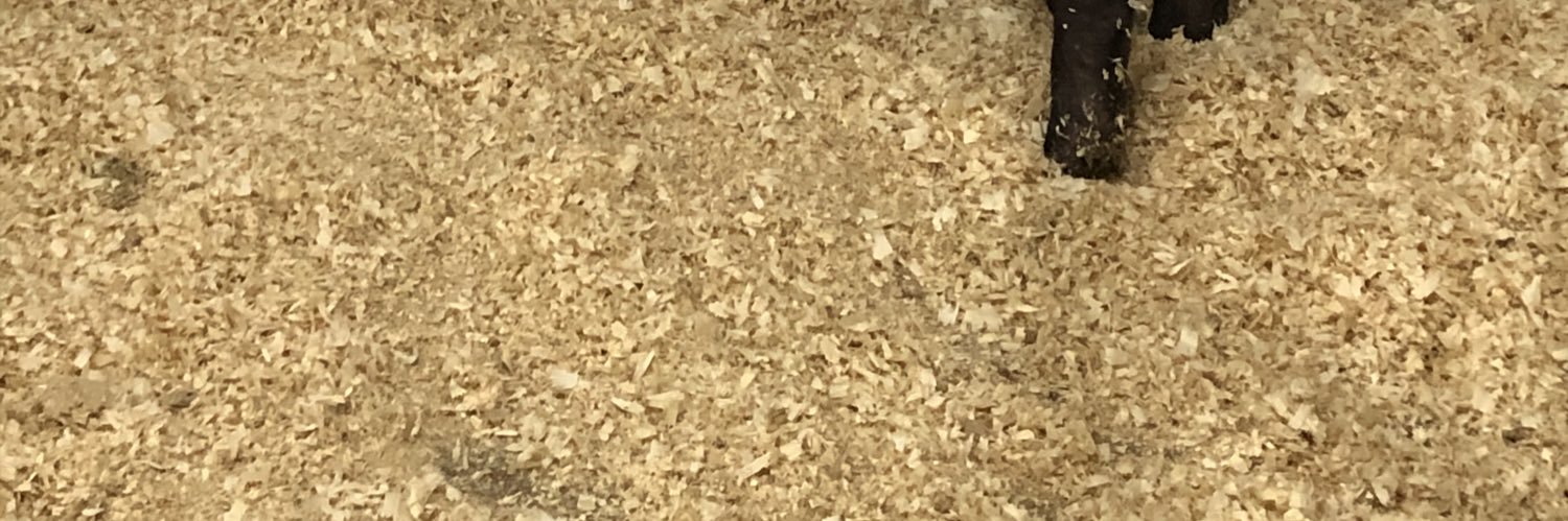 CJSmith317's profile banner image