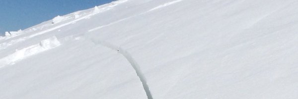 infoACNA Profile Banner