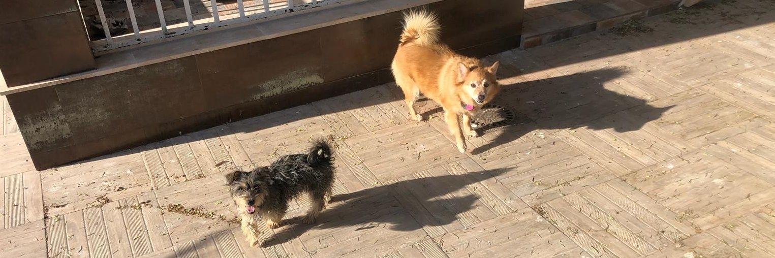 Paatu7's profile banner image