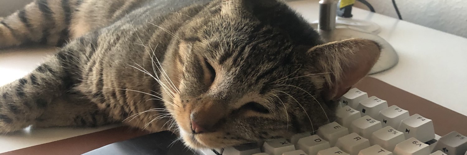 robin_ching's profile banner image