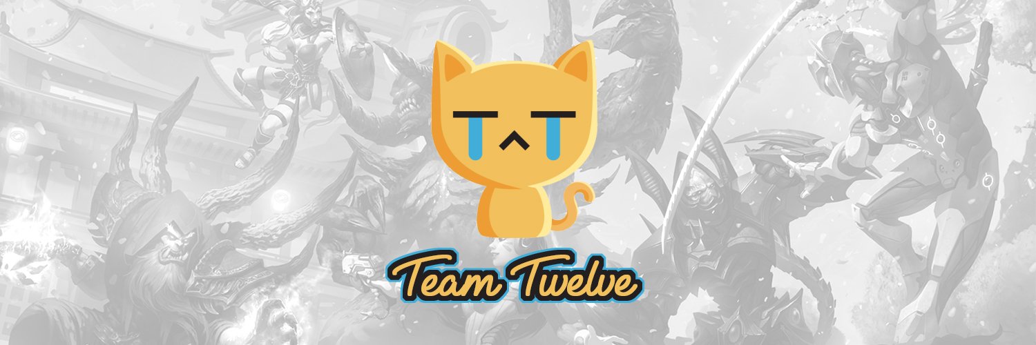 TeamTwelveGG's profile banner image