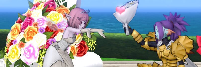 mainitidaisuki1's profile banner image