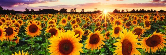 MrsReed7414's profile banner image