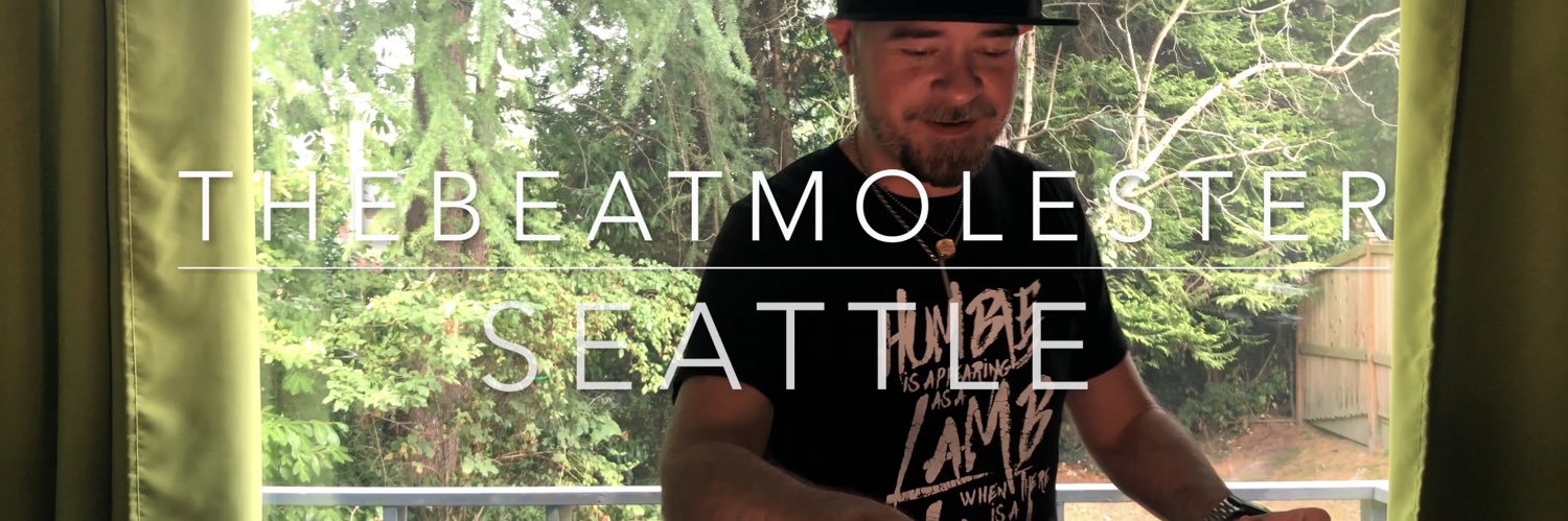 TheBeatMolester banner