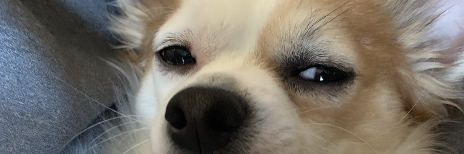 bre_hud's profile banner image