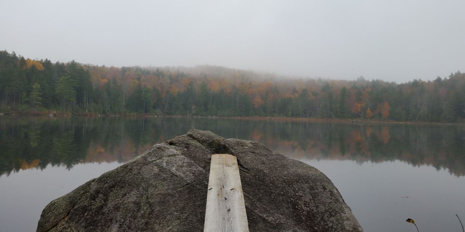 fishhore's profile banner image