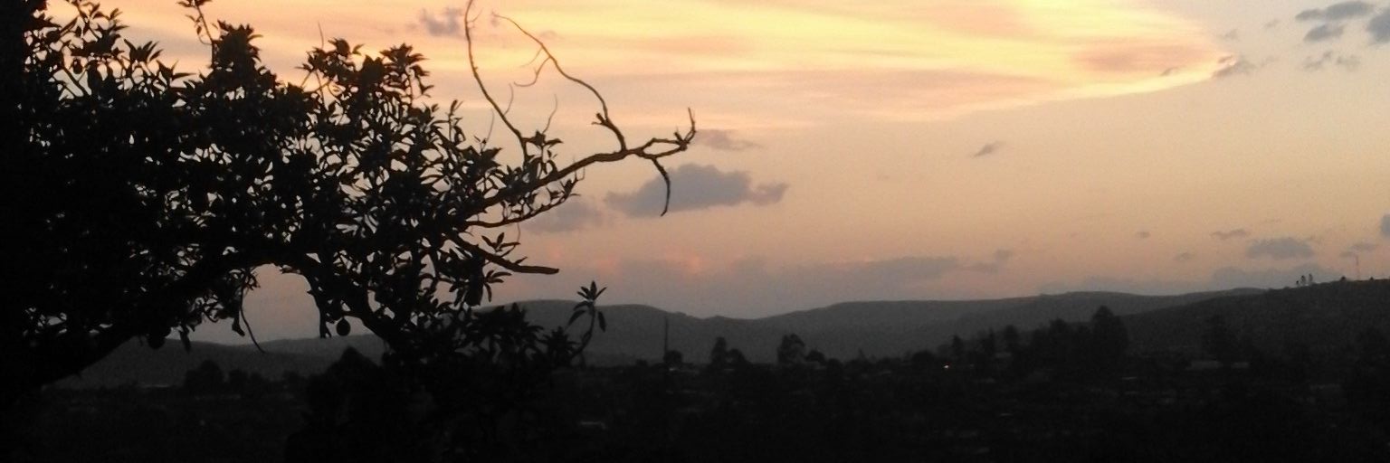 onolezi's profile banner image