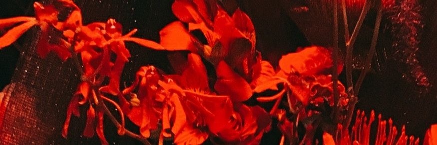 rrife04ym's profile banner image