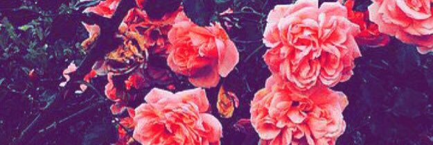 llxv79's profile banner image
