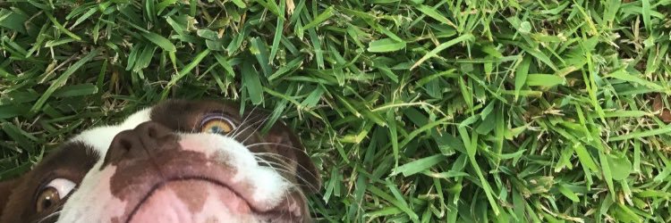 abbbs_17's profile banner image