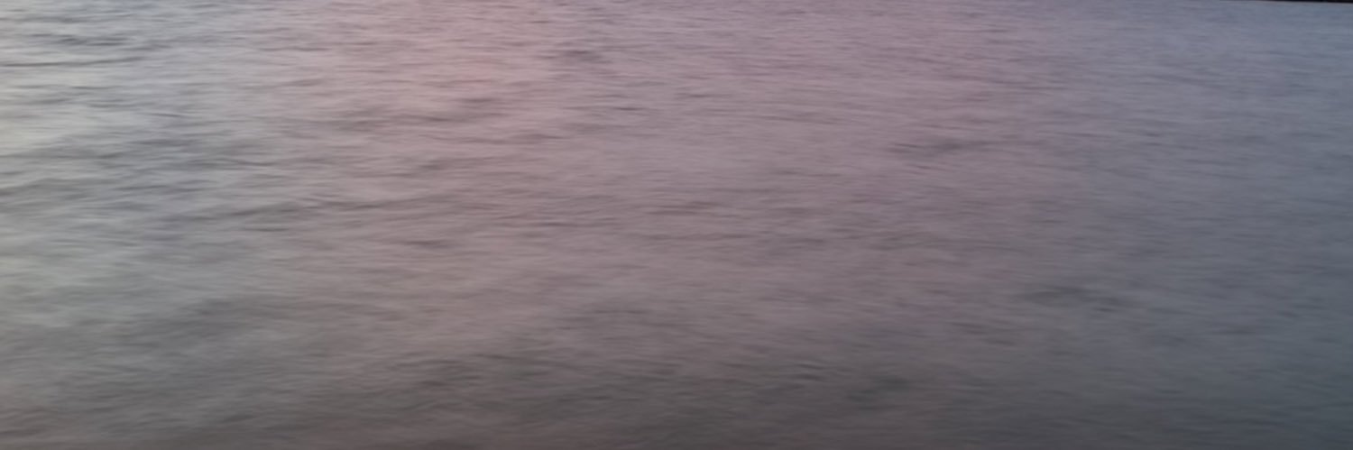 rossialessia_'s profile banner image