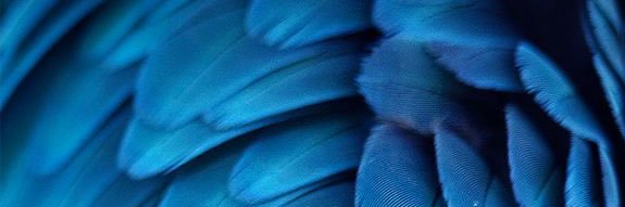 jonatannog's profile banner image