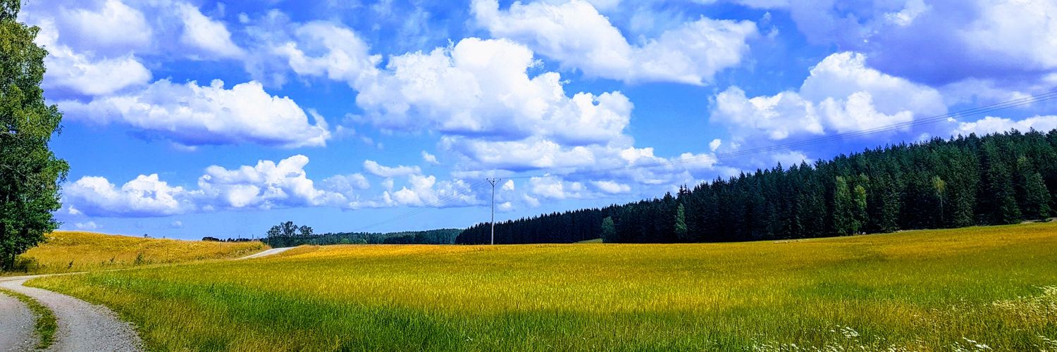 ToreGud's profile banner image