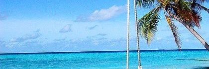 elsharkasy_'s profile banner image