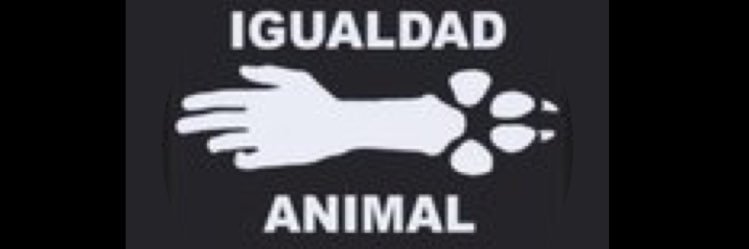 Gaby Denisia🎶🐾❤️🇲🇽 banner