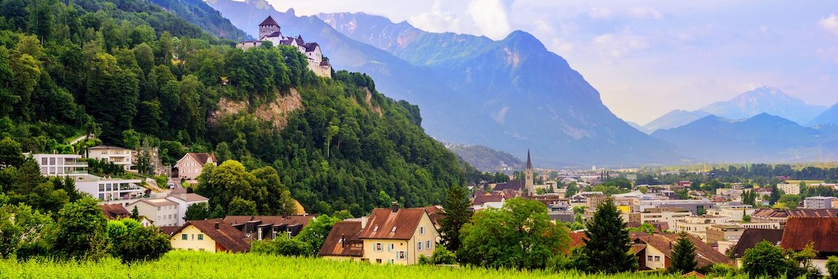 Liechtenstein in the USA 🇱🇮 banner