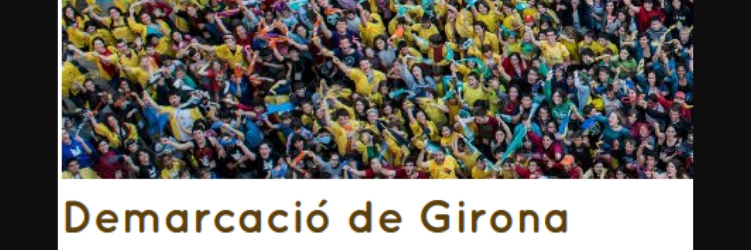 FormigaGirona's profile banner image