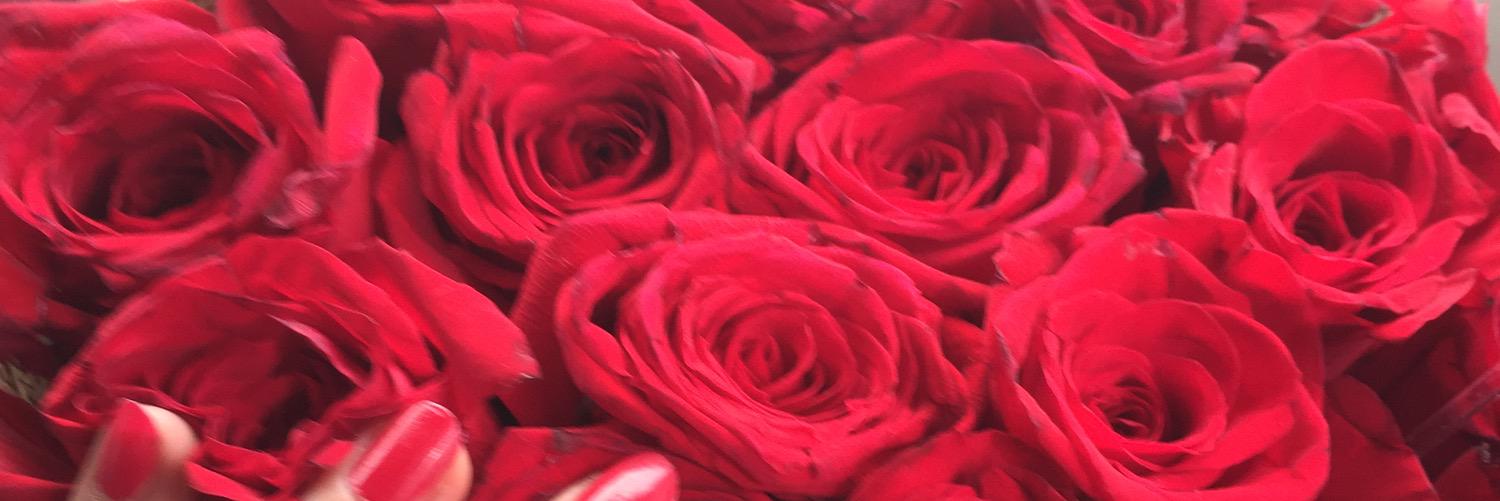IHLaa1's profile banner image