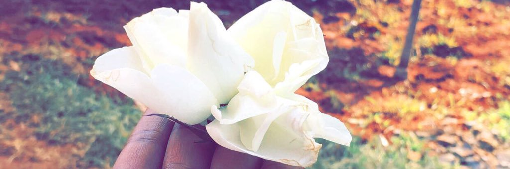 sheilasweetness's profile banner image