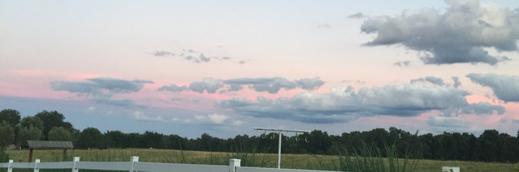 MikeysMrs's profile banner image