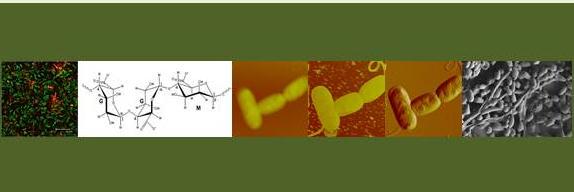 AdvTherGroup's profile banner image