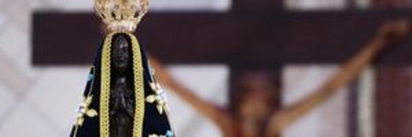 apmachado0 Profile Banner