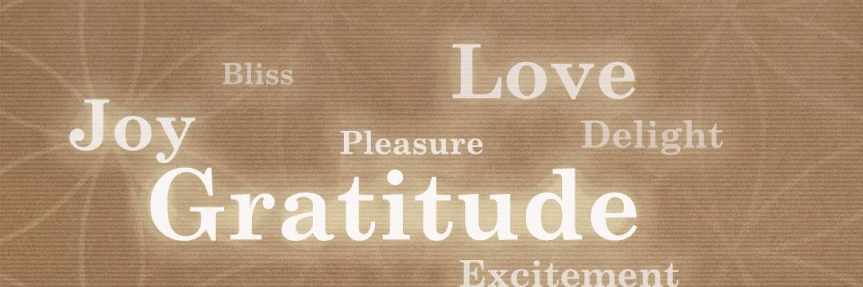 Mindi Sinclair banner