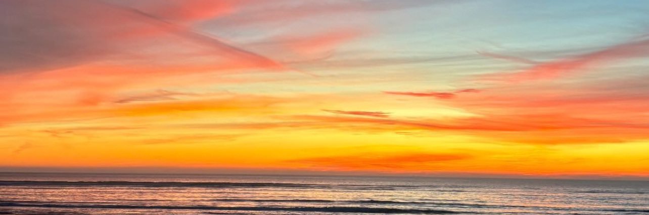 evarleal8's profile banner image