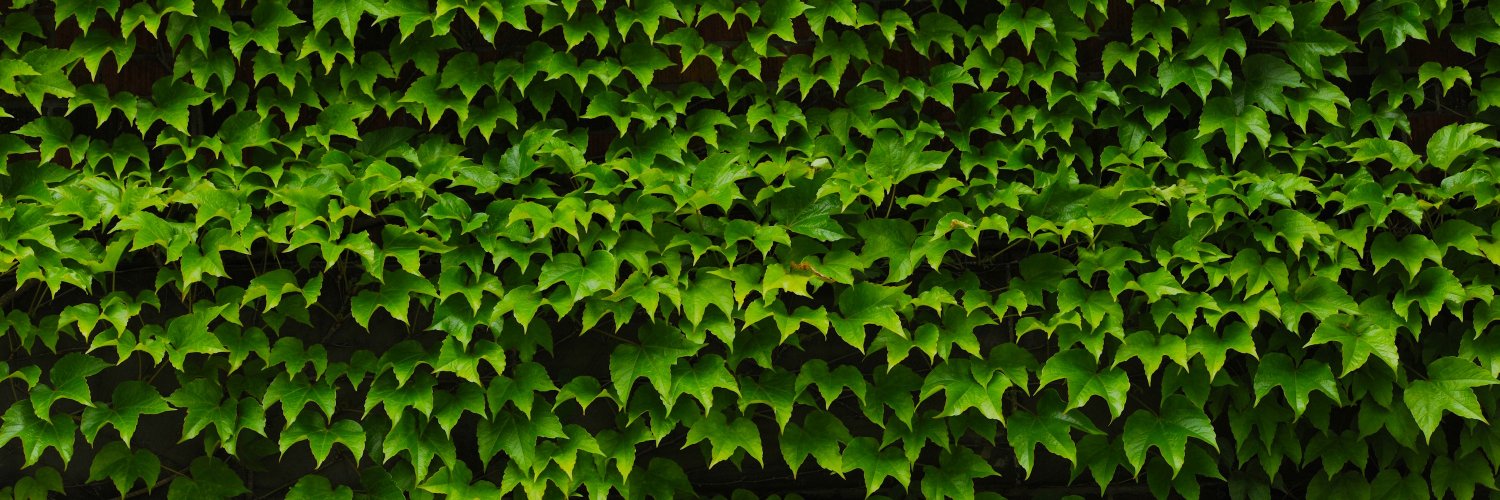 EventsAtDal's profile banner image