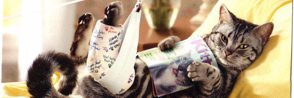 GLORIA BREDEHOEFT banner