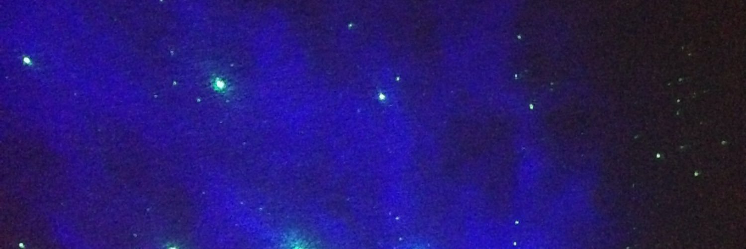 daisy_noemi's profile banner image