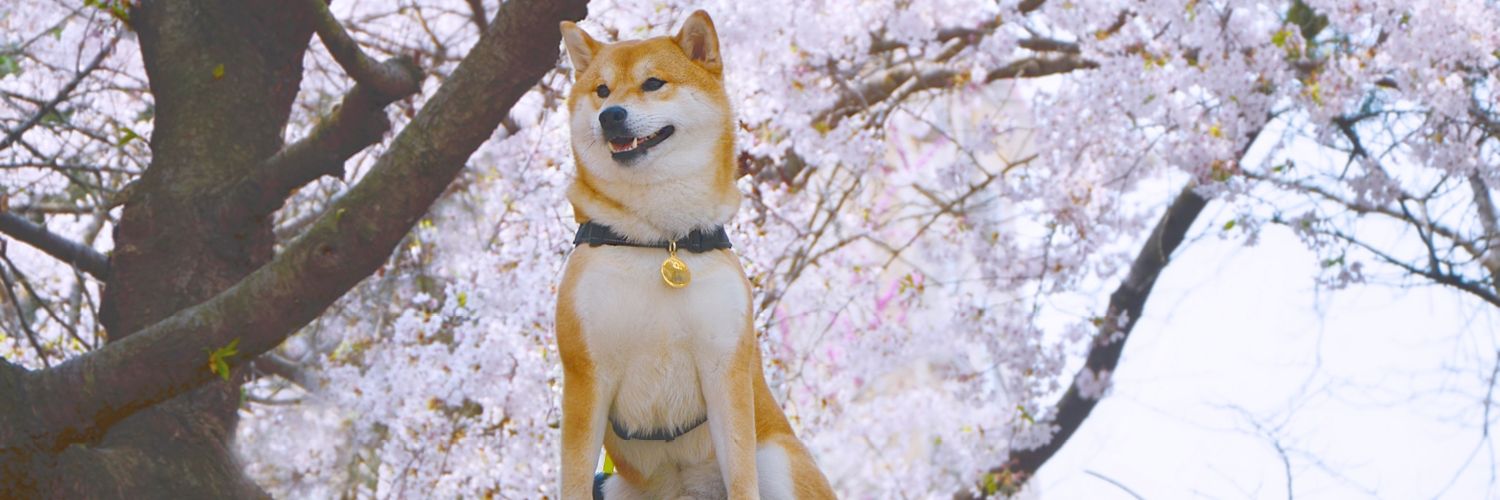 Foxxx1990's profile banner image