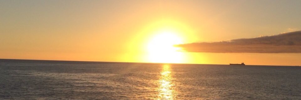 em4_y's profile banner image