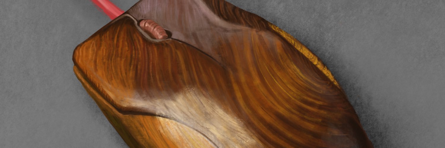 AnikiXVI's profile banner image
