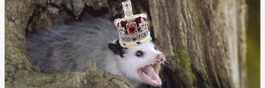 RackOfSteel's profile banner image