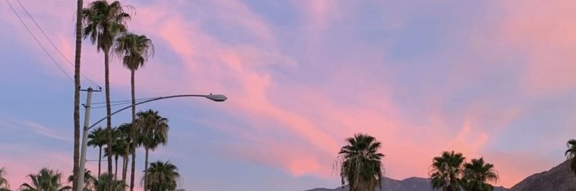 LeiaFilidori's profile banner image