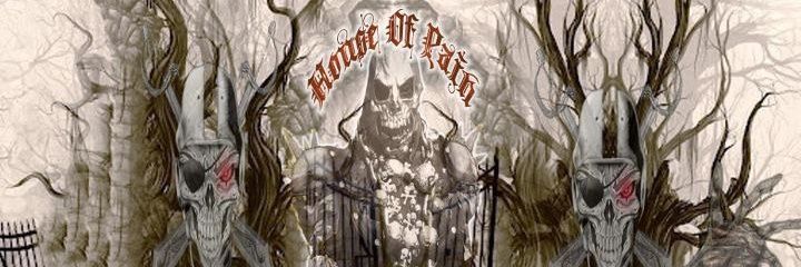 Raiders_Pain's profile banner image
