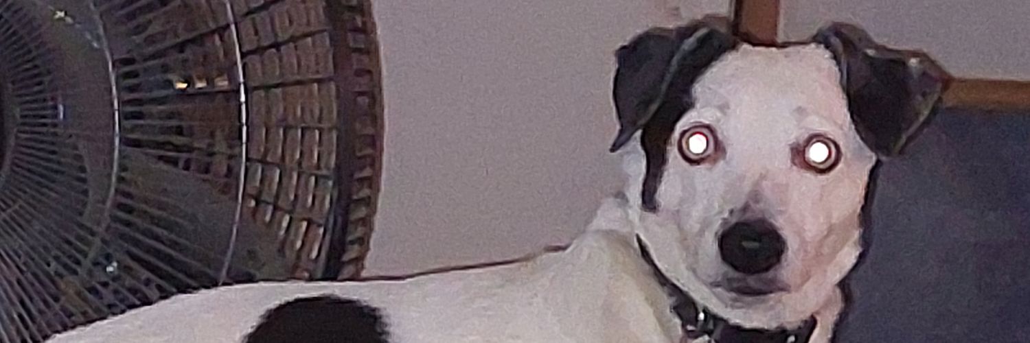 KariRitter's profile banner image