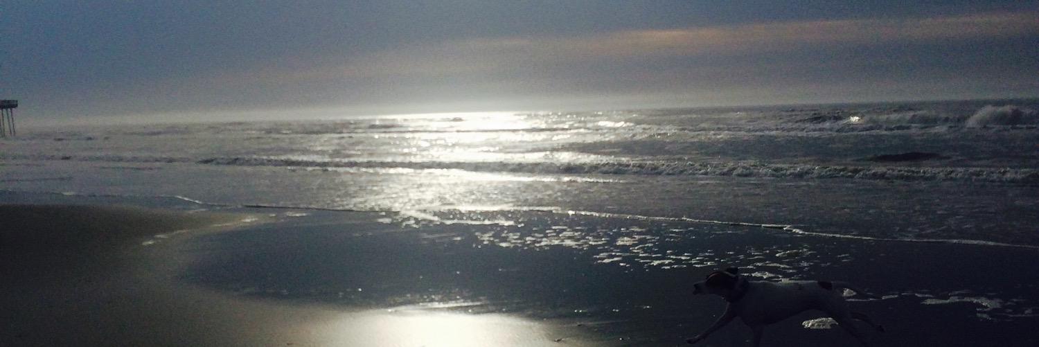g_consalvo's profile banner image