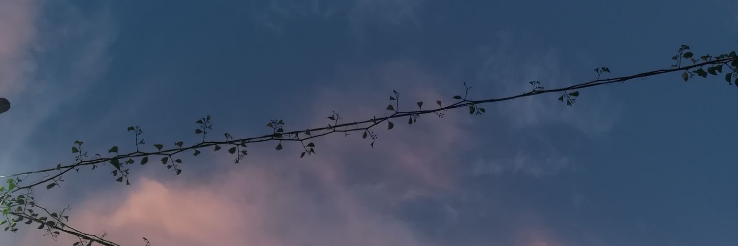 YAO_OM's profile banner image