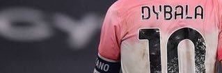 stefano banner