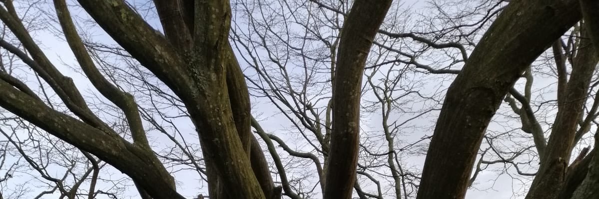 sldblog's profile banner image