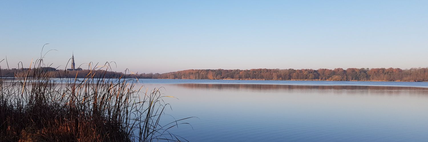 Natalie Alana Ashton banner