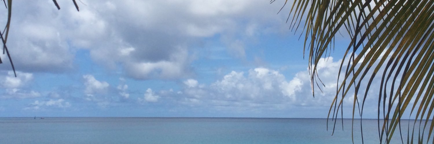 dnielaramirezm's profile banner image