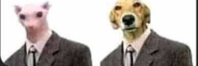 EdgarSpa15's profile banner image