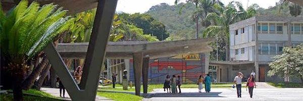 castrocaraballo's profile banner image