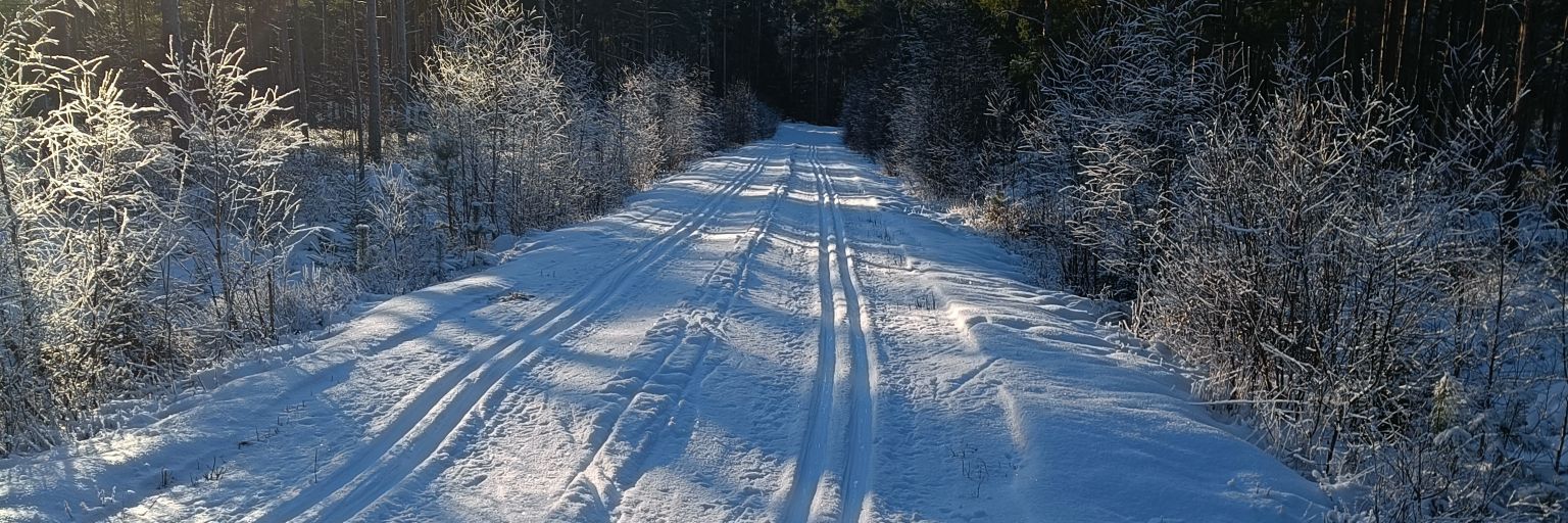Teppo Vähä-Mäkilä banner