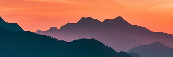 Zabrd Profile Banner